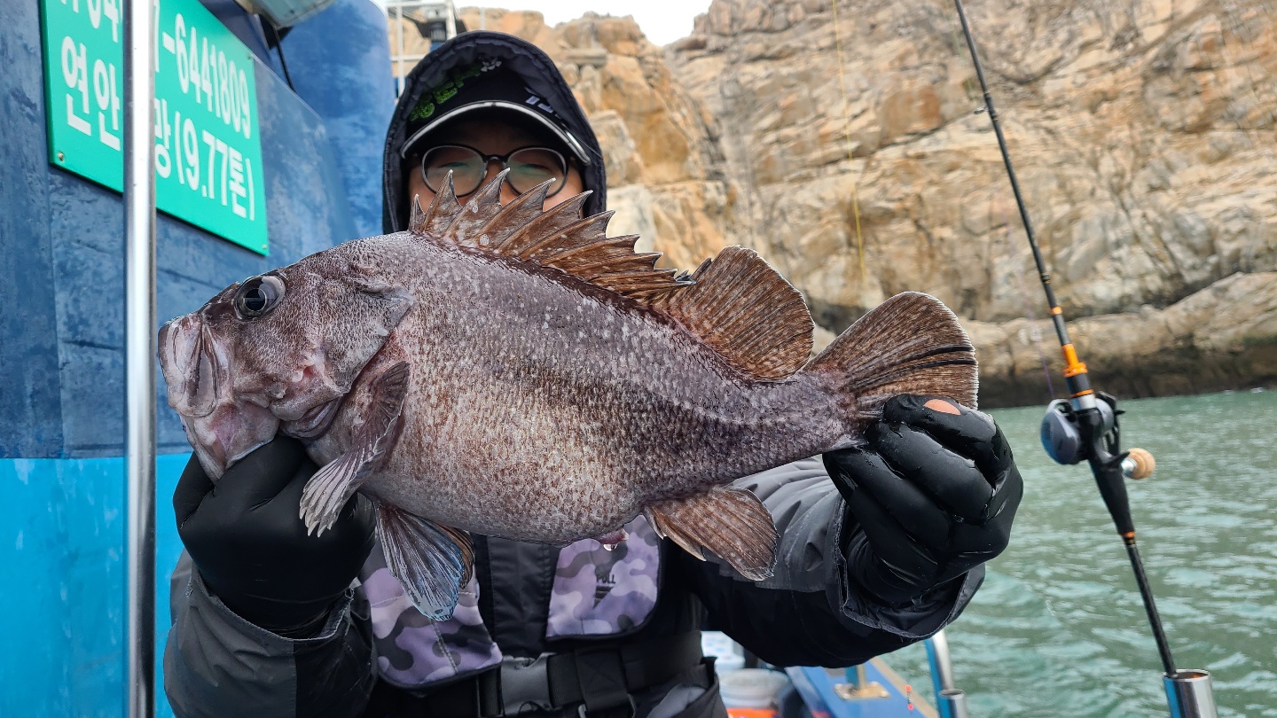 3월 4일 대성호 우럭조황입니다