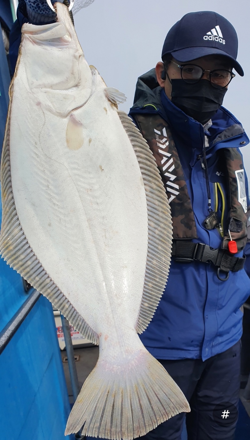 3월 26일 대성호 광어탐사조황