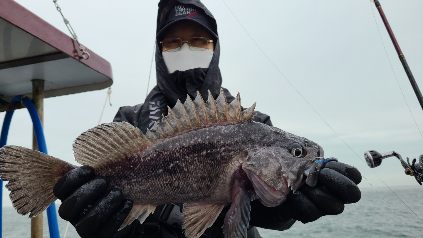 4월3일5일 뉴대성호 우럭조황