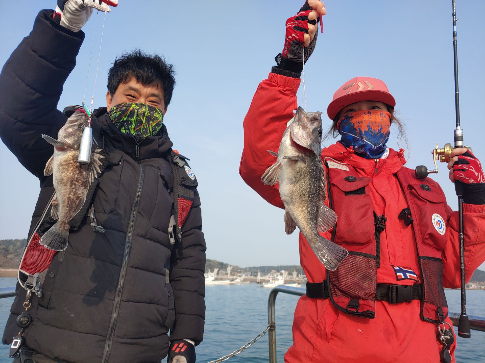 4월 11일 뉴대성호 우럭조황입니다.