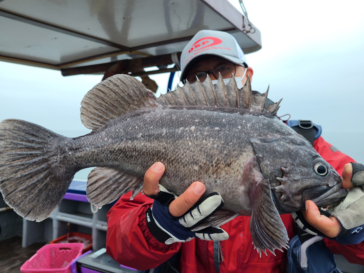 5월15일 뉴대성호 다잡아조황