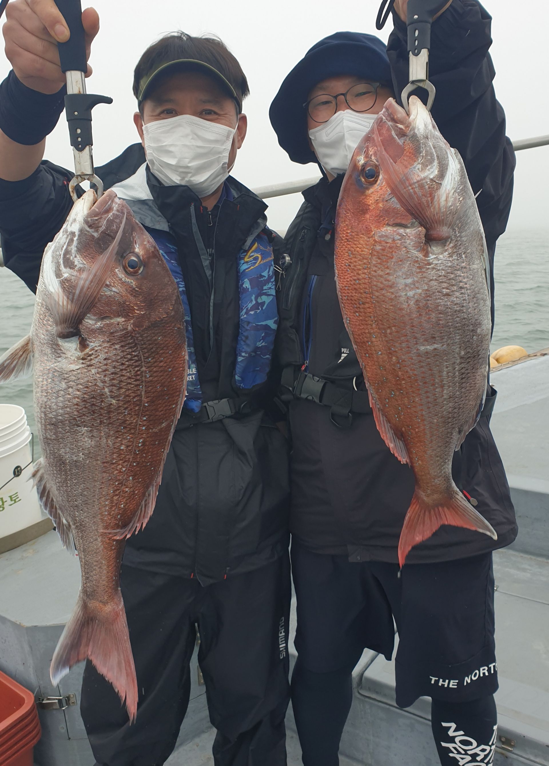 5월15일 동백호 참돔조황