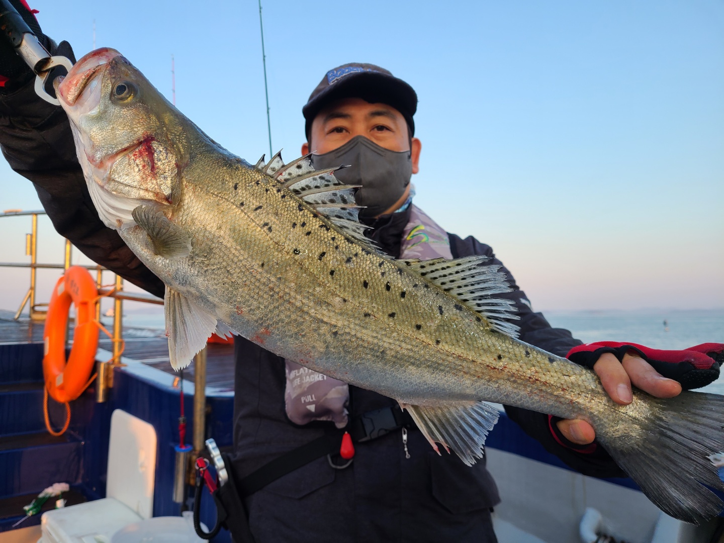 5월29일 뉴대성호 농어외수질조황