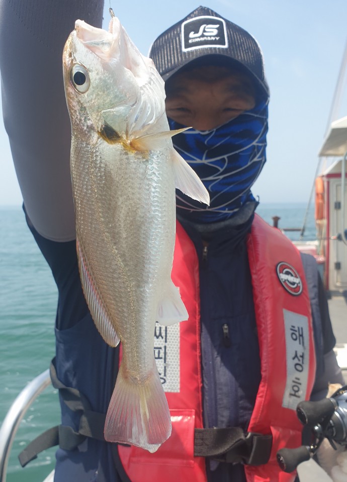 백조기 탐사(선장님들이 먼저 다녀왔습니다)