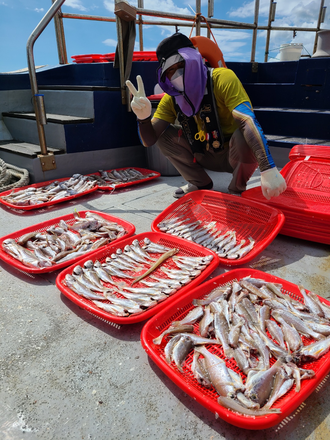 7월19일 뉴대성호 백조기조황