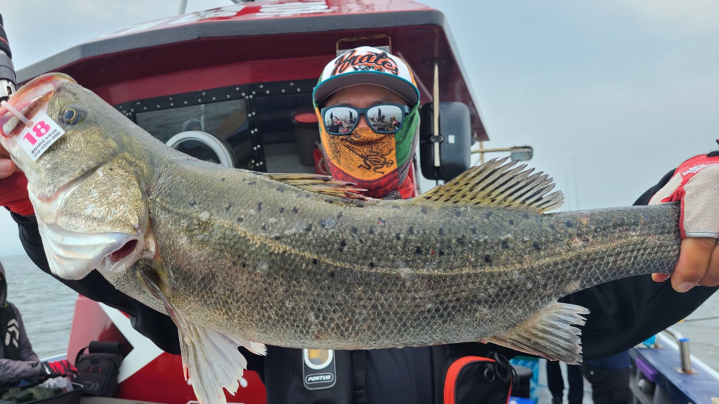 7월10일 뉴대성호 농어외수질조황