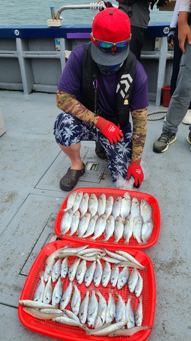 7월11일 뉴대성호 백조기조황(조PD)