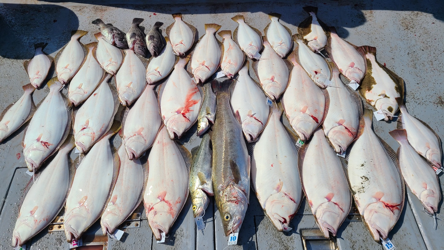 7월22일 뉴대성호 생새우외수질조황