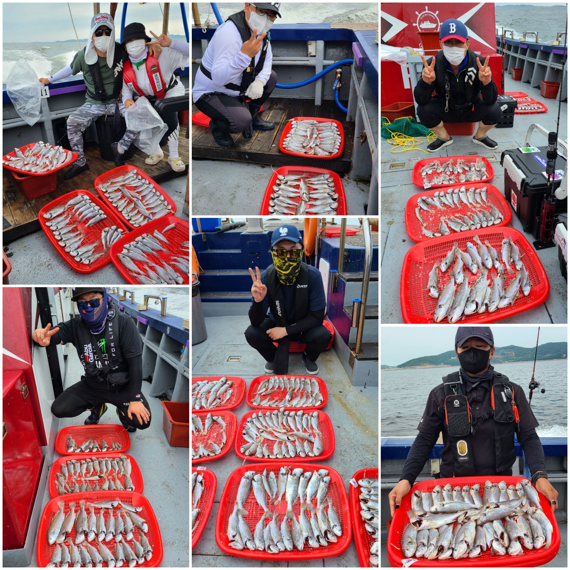 7월30일 뉴대성호 백조기조황