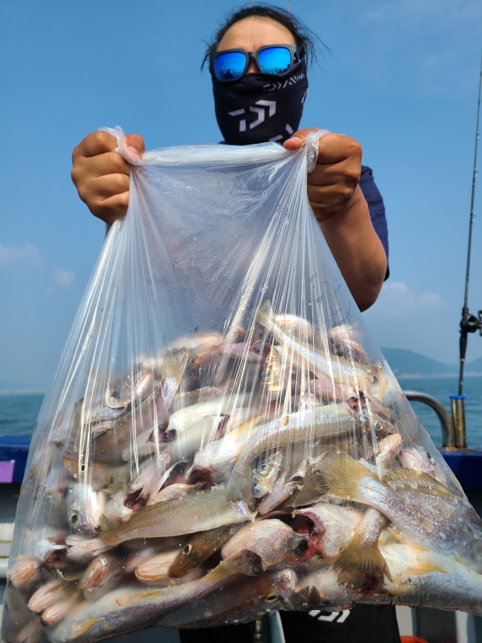 7월2일 뉴대성호 백조기조황