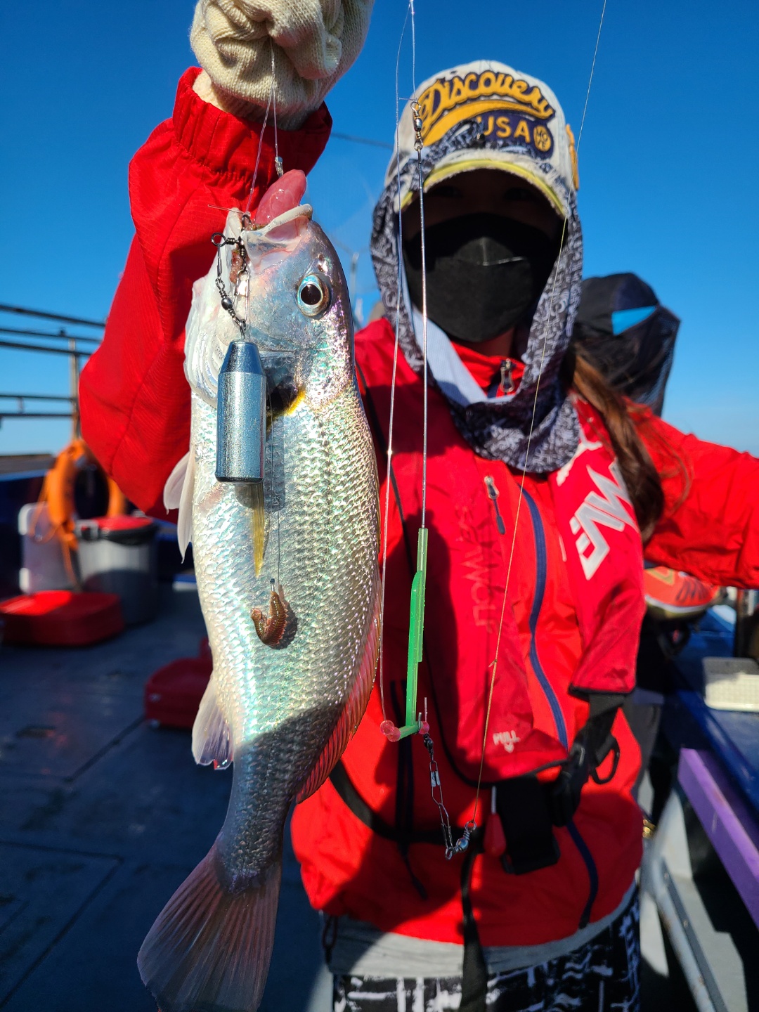 7월18일 뉴대성호 백조기조황