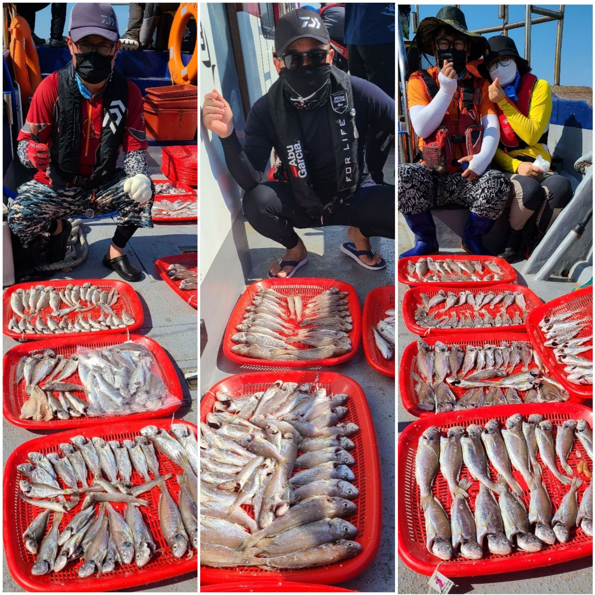 7월23일 뉴대성호 백조기조황