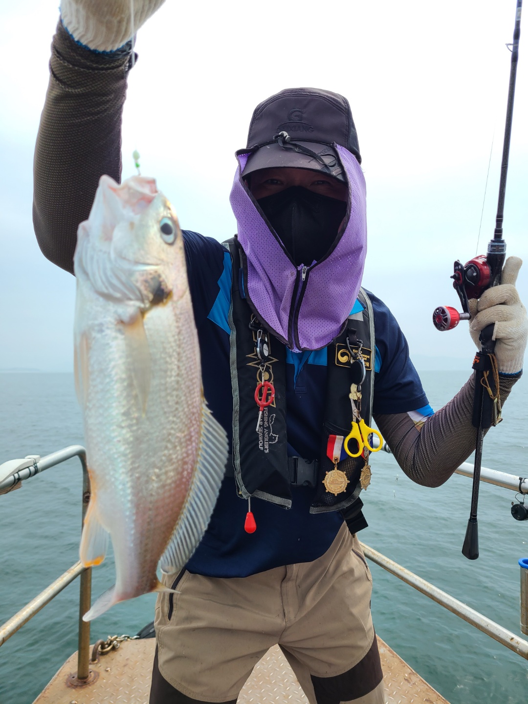 8월8일 뉴대성호 백조기조황