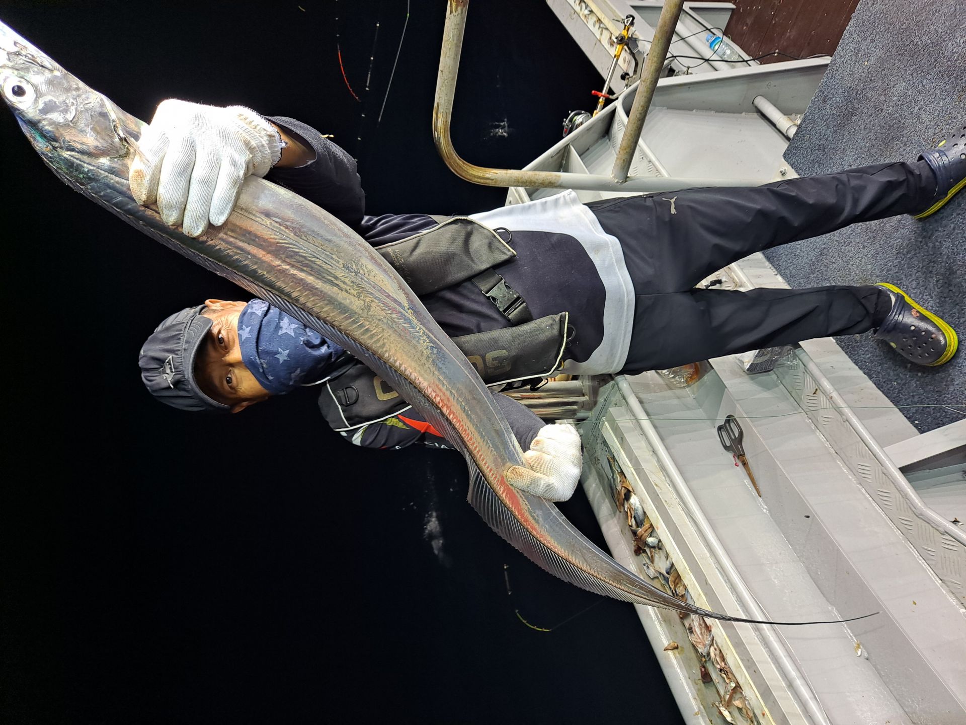 8월4일  갈치폭탄!!!!  클럽씨피싱 완도점 갈치조황