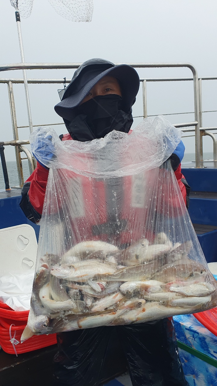 8월 1일 대성호 백조기조황~^^