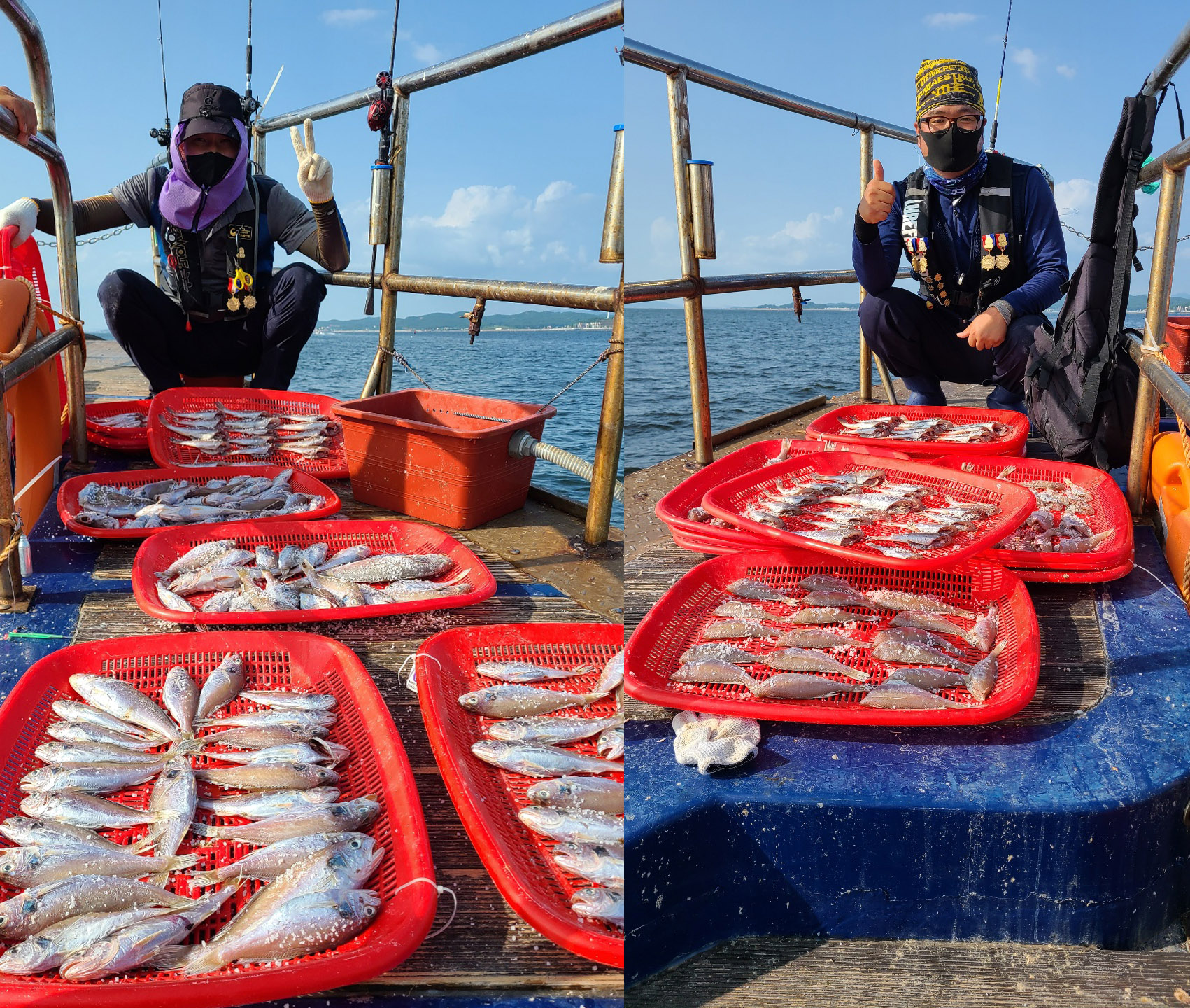 8월 15일 뉴대성호 백조기 조황