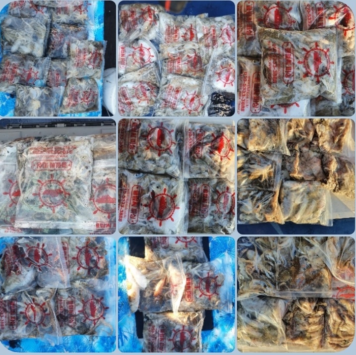 9월 22일 대성호 주꾸미 조황입니다