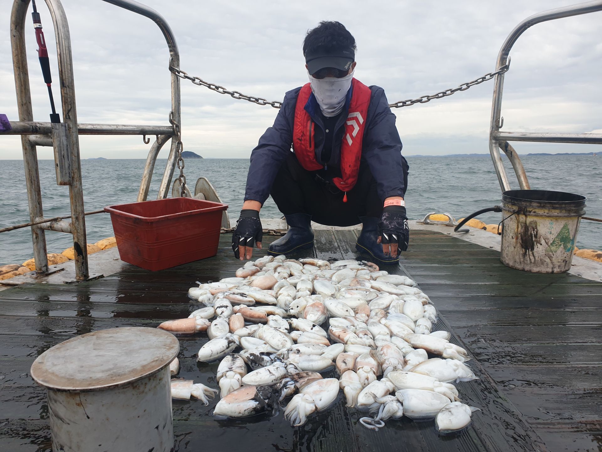 9월25일 대양호 갑오징어 조황