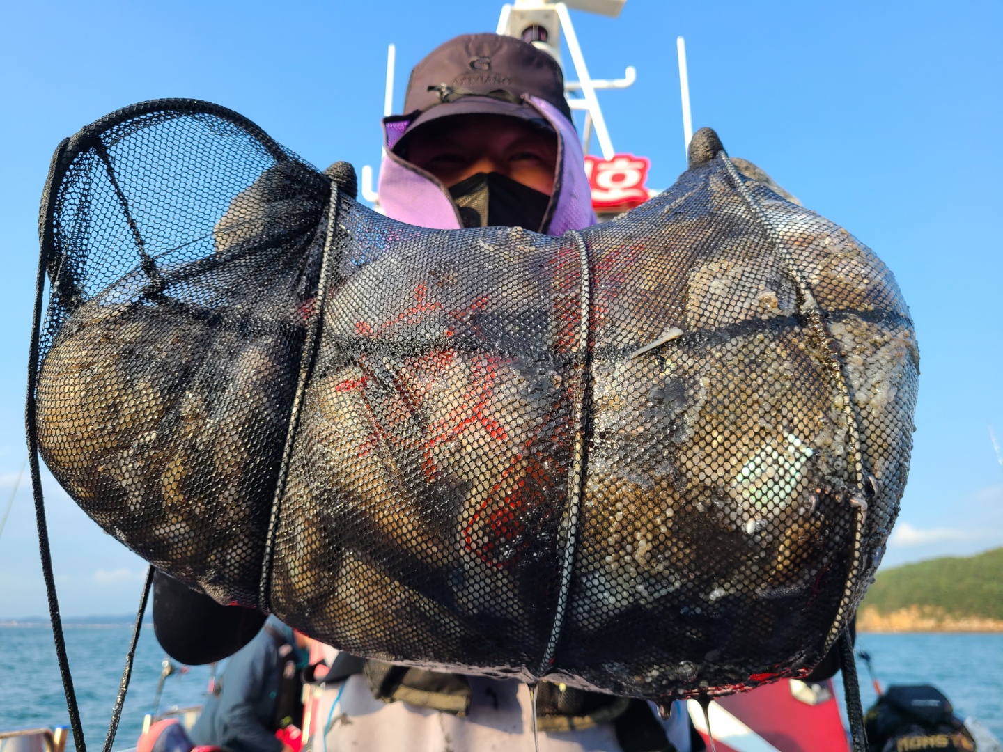 9월19일 뉴대성호 주꾸미조황