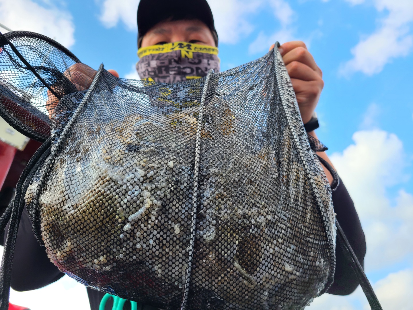 9월21일 뉴대성호 주꾸미조황