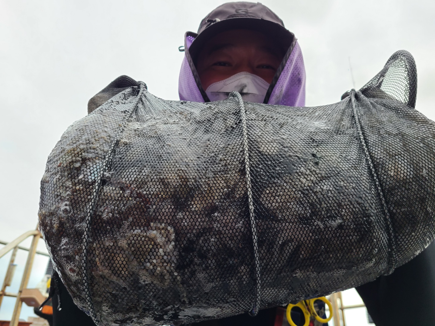 9월26일 뉴대성호 주꾸미조황