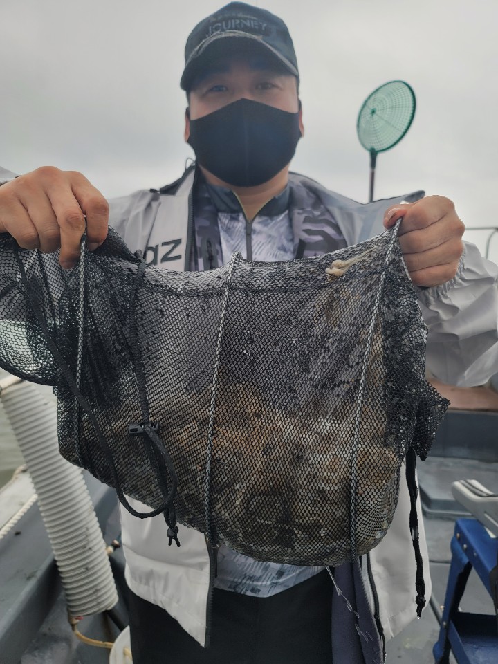 9월 1일 대성2호 쭈꾸미 조황