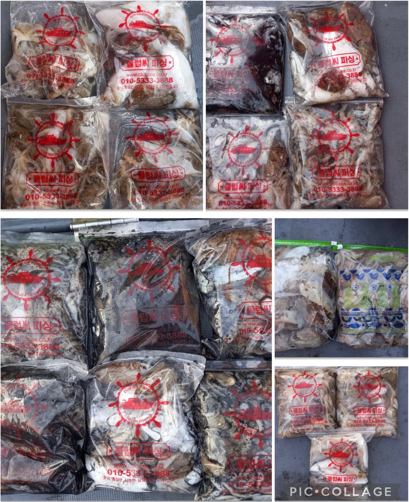 09월 24일 레드원호 주꾸미 조황