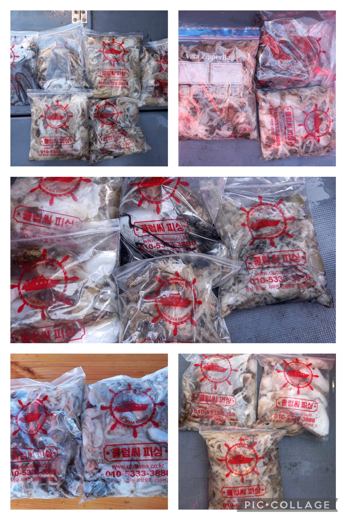 09월 22일 레드원호 주꾸미 조황