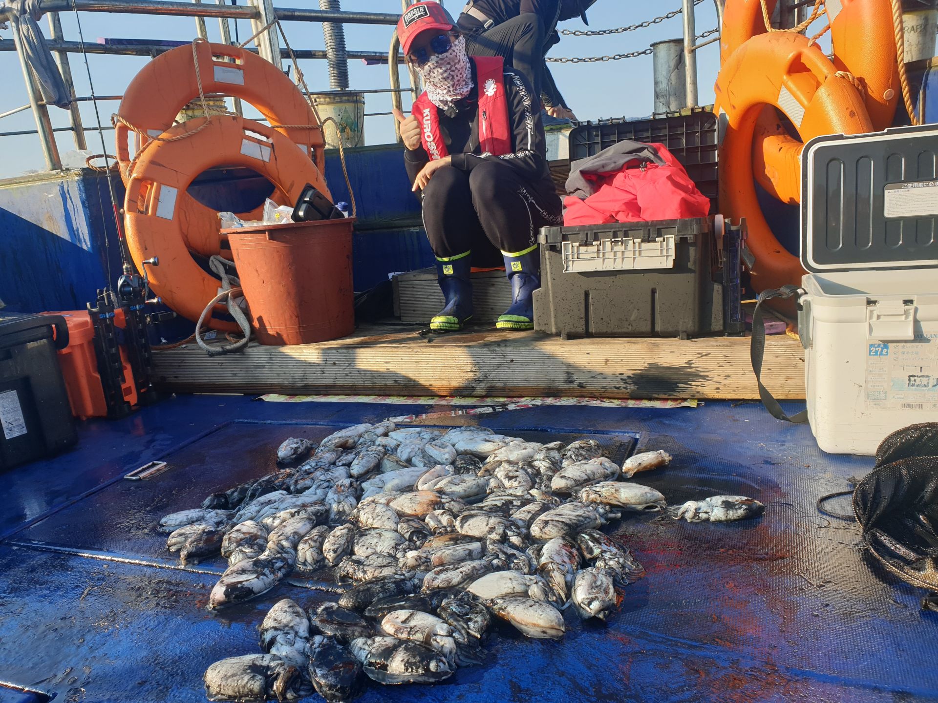 9월19일 대양호 갑오징어 조황