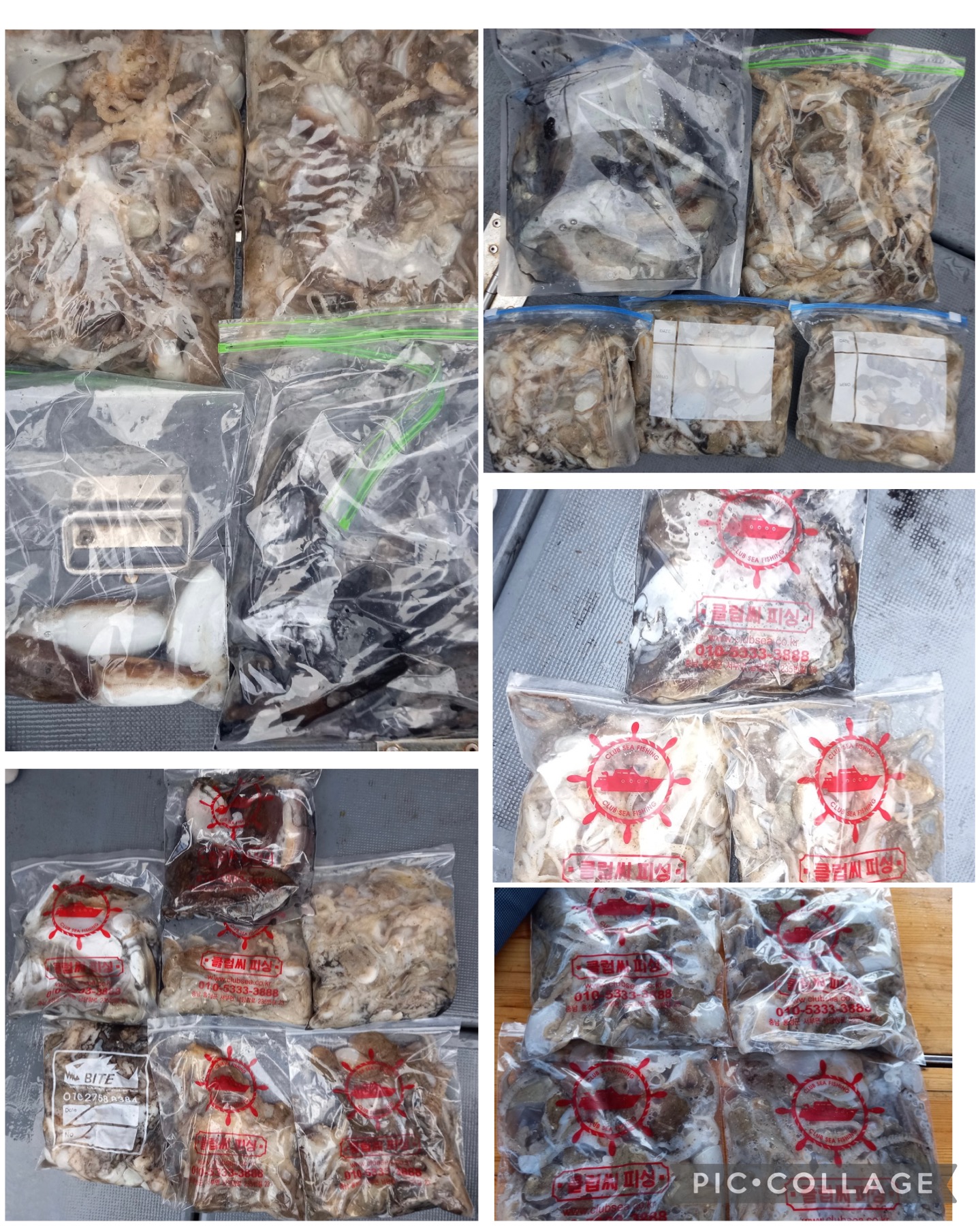 09월 25일 레드원호 주꾸미 조황