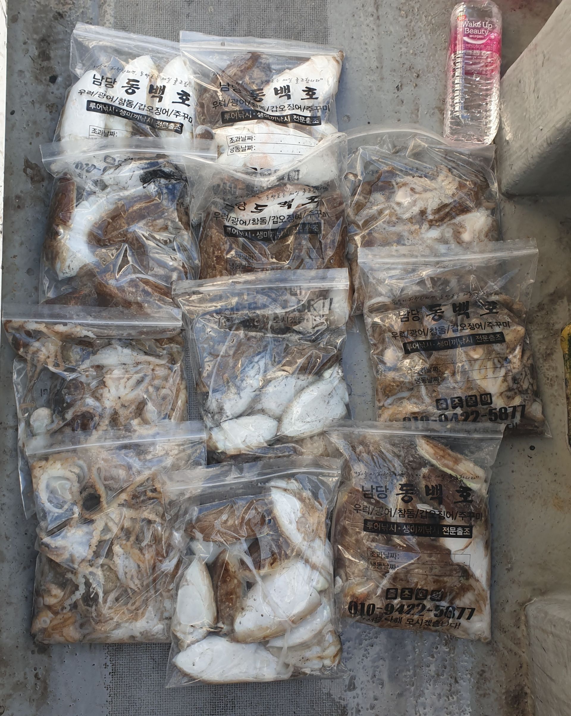 9월21일 동백호 갑오징어  조황