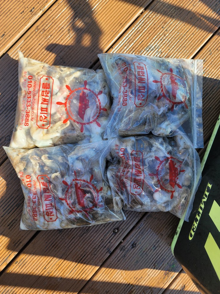 9월 17일 대성2호 쭈꾸미 조황