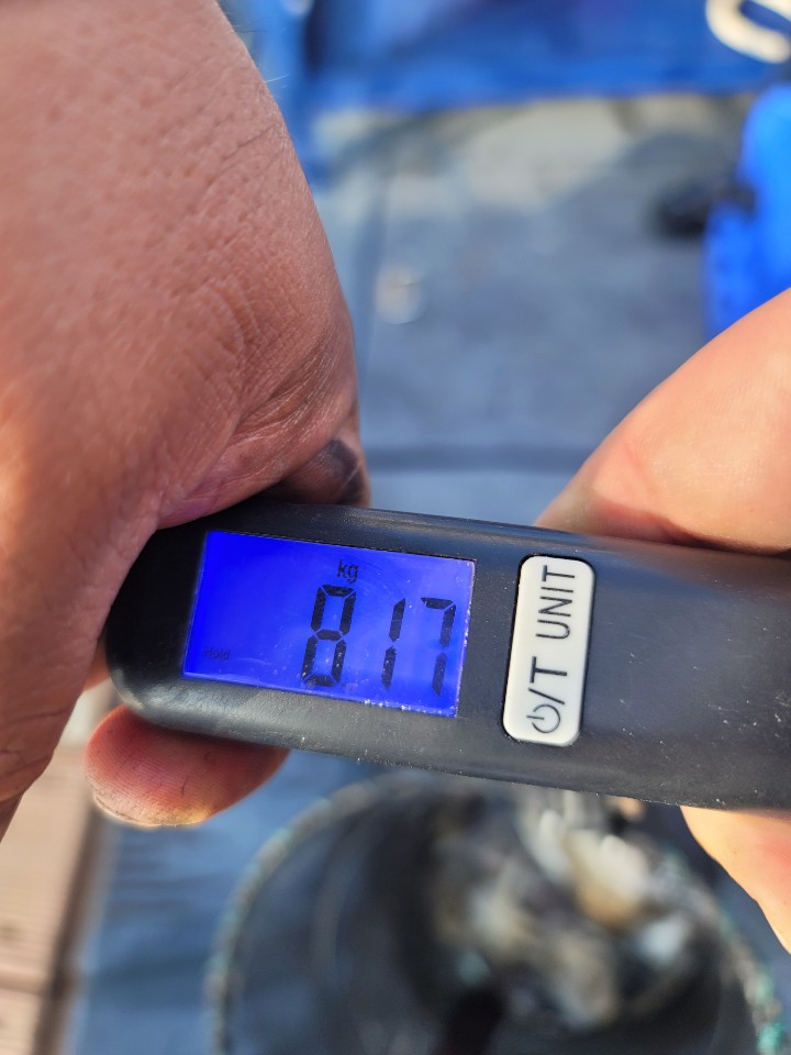 9월 22일 대성2호 쭈꾸미조황