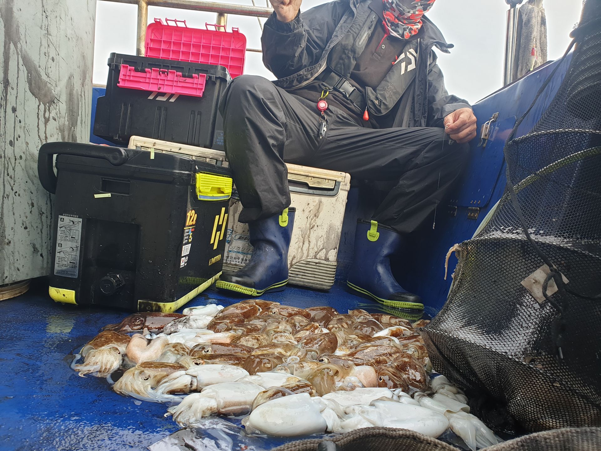 9월16일 대양호 갑오징어 조황