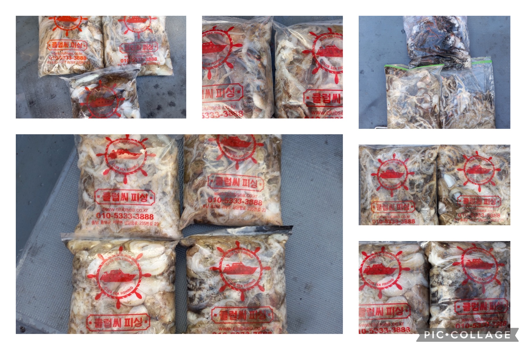 09월 21일 레드원호 주꾸미 조황