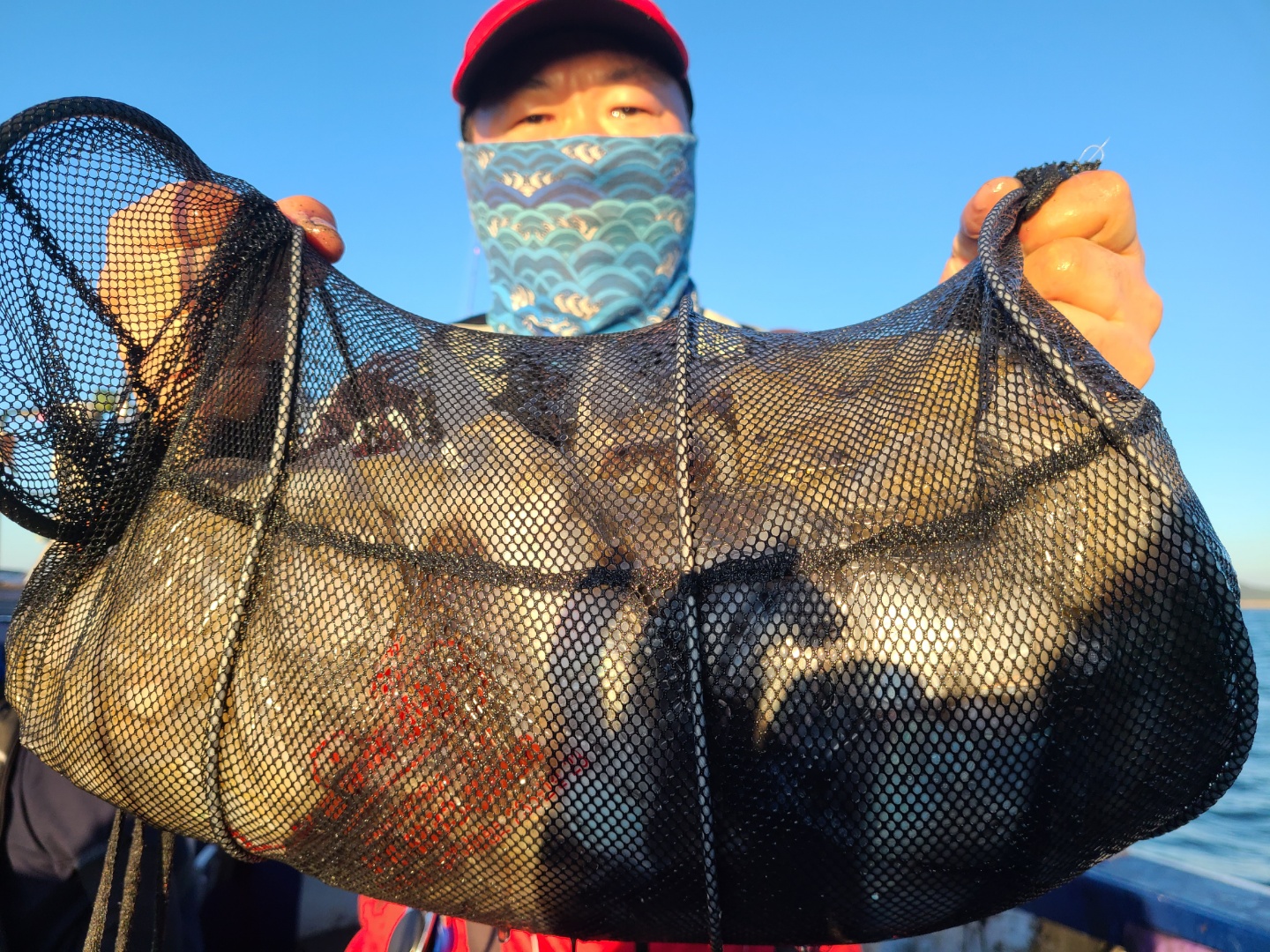 10월14일 뉴대성호 주꾸미조황