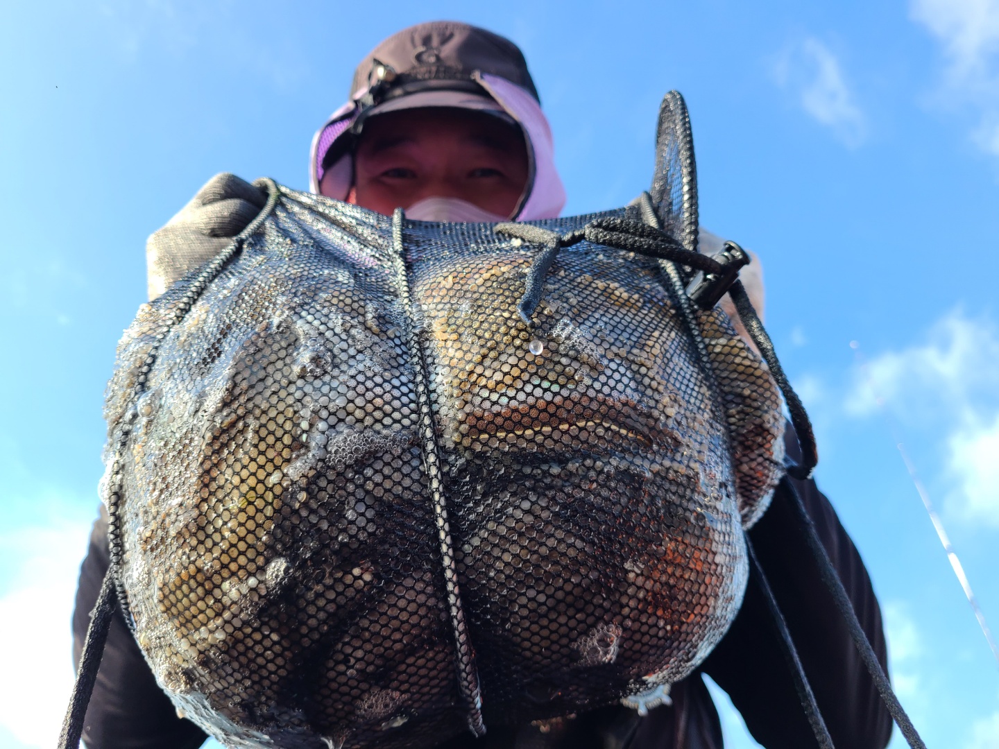 10월5일 뉴대성호 주꾸미조황