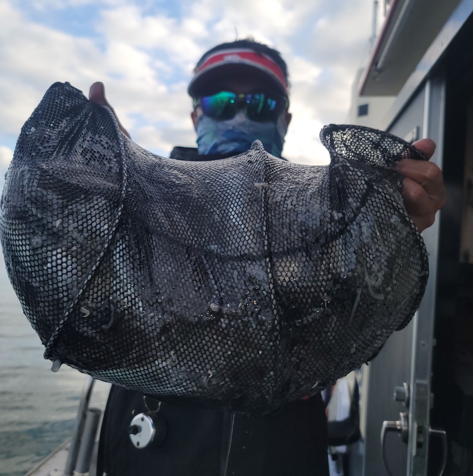 10월 13일 대성2호 쭈꾸미조황