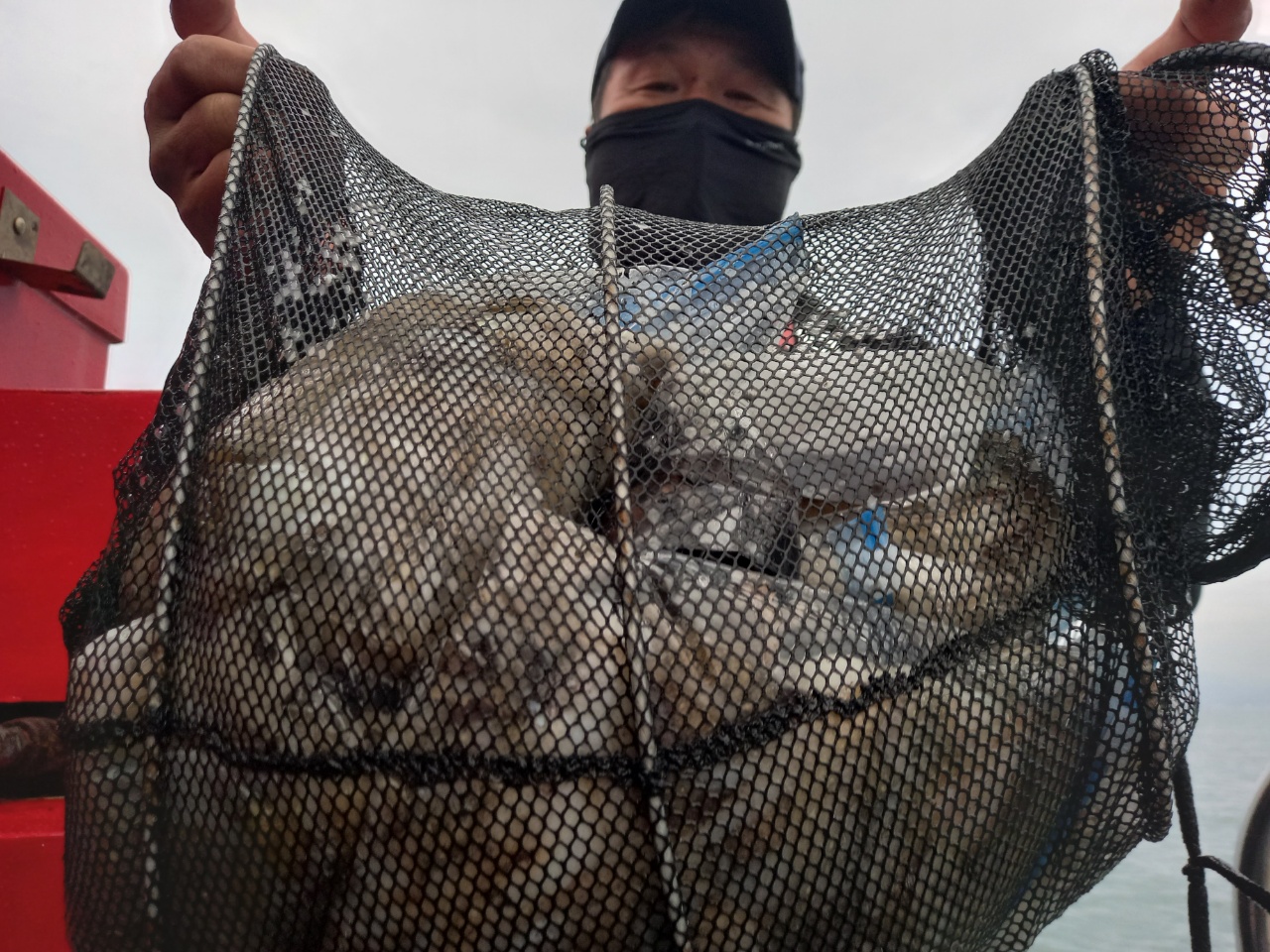 10월 08일 레드원호 주꾸미 조황