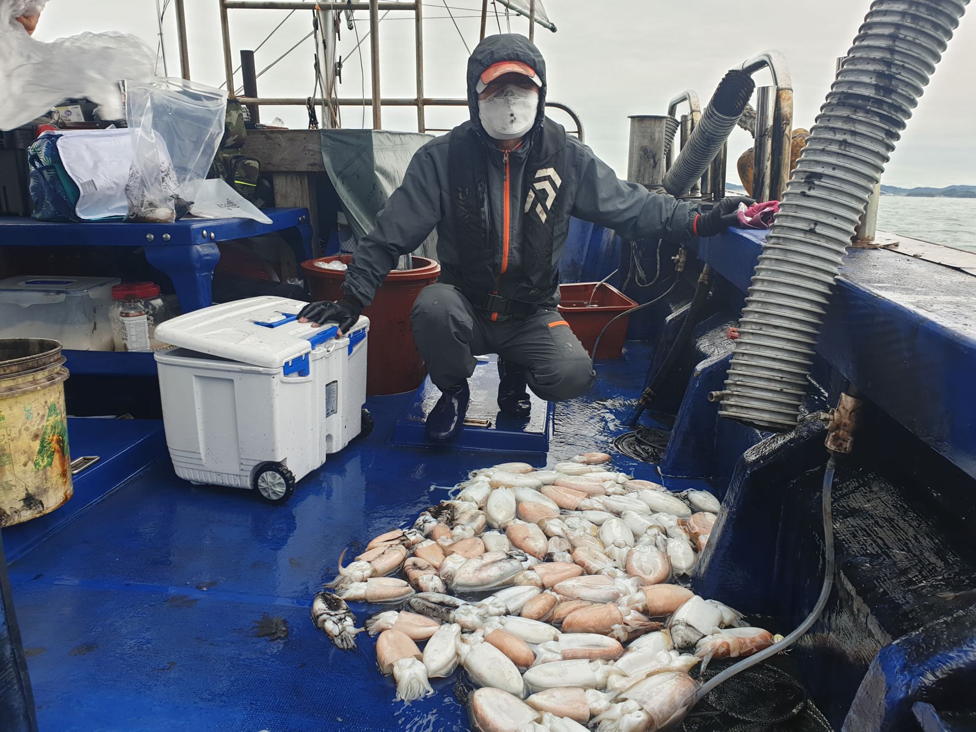 10월12일 대양호 갑오징어 조황