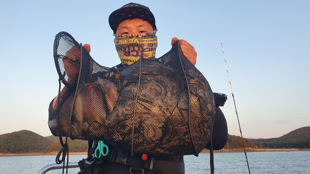 10월 29일 대성호 주꾸미조황입니다