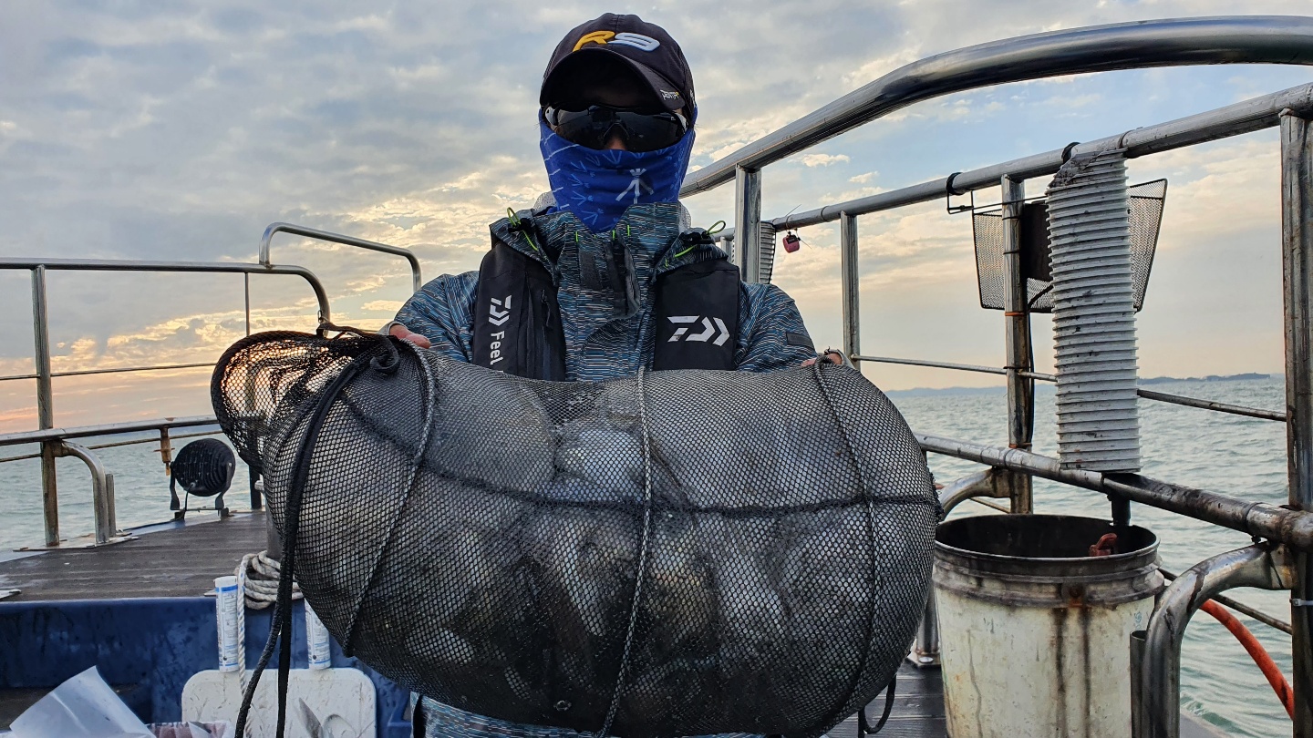 10월 11일 대성호 주꾸미조황입니다