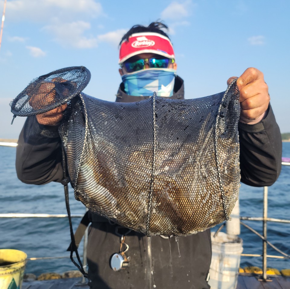 10월 24일 대성2호 쭈꾸미조황