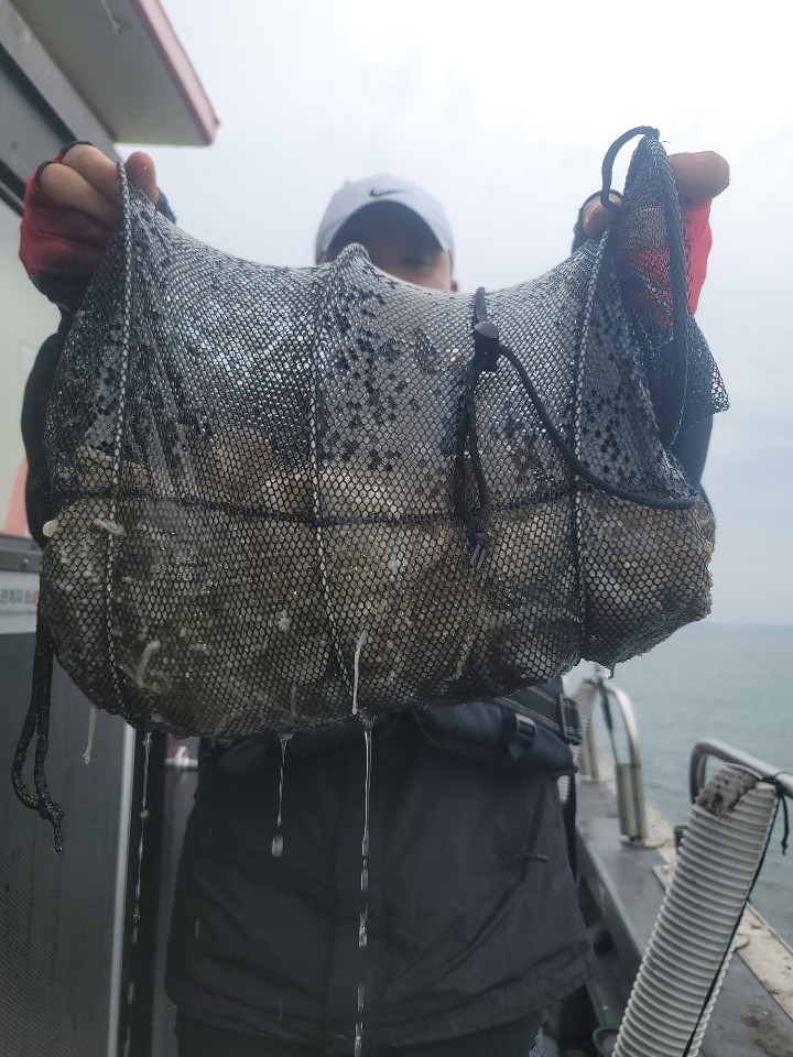 10월 8일 대성2호 쭈꾸미조황