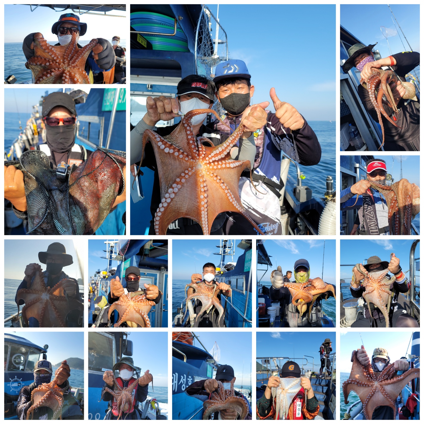 10월 6일 대성호 문어 조황입니다