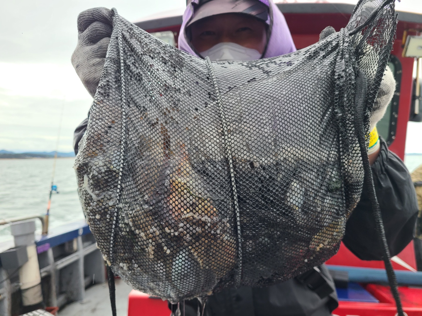 10월12일 뉴대성호 주꾸미조황