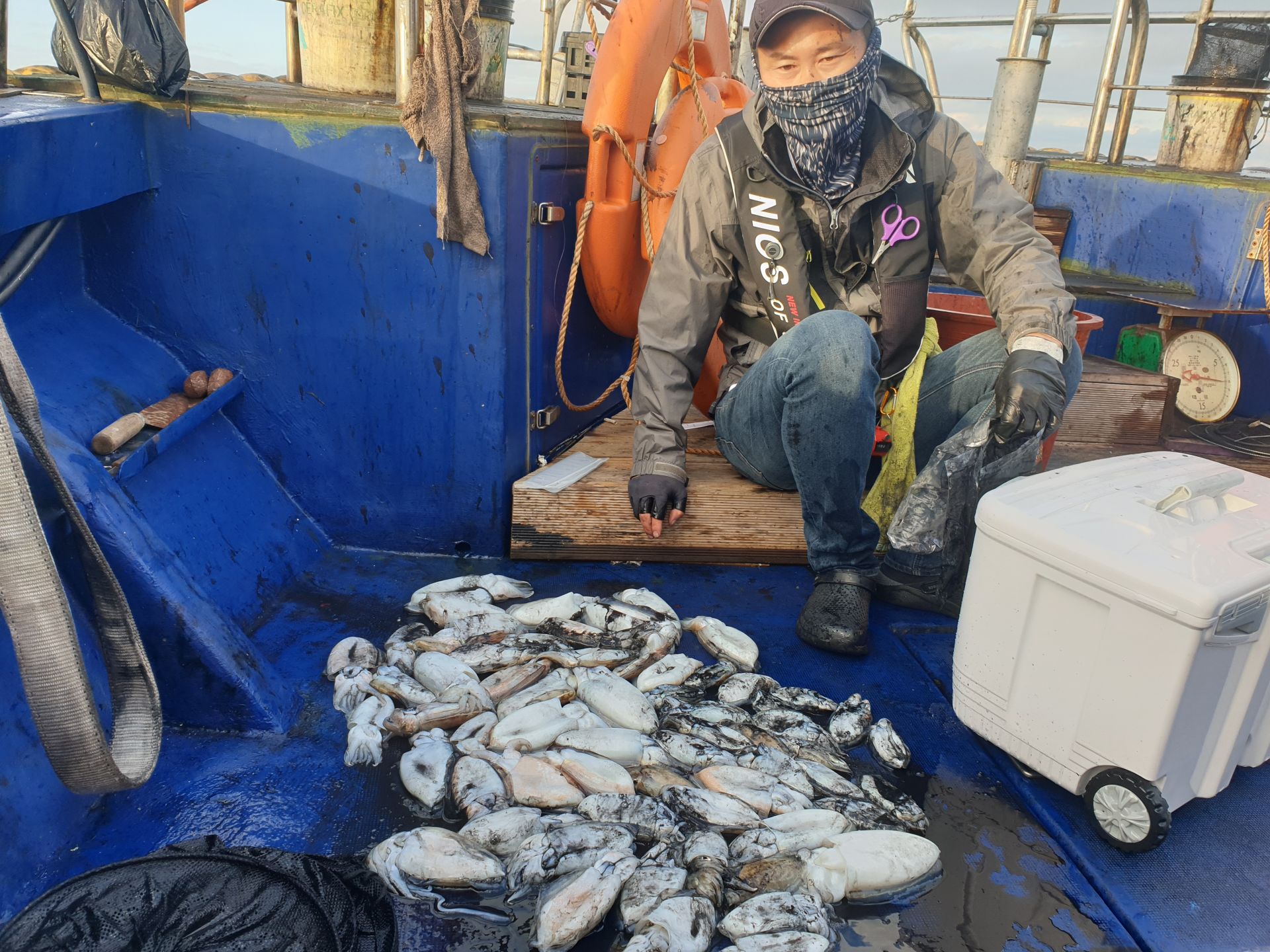 10월13일 대양호 갑오징어 조황