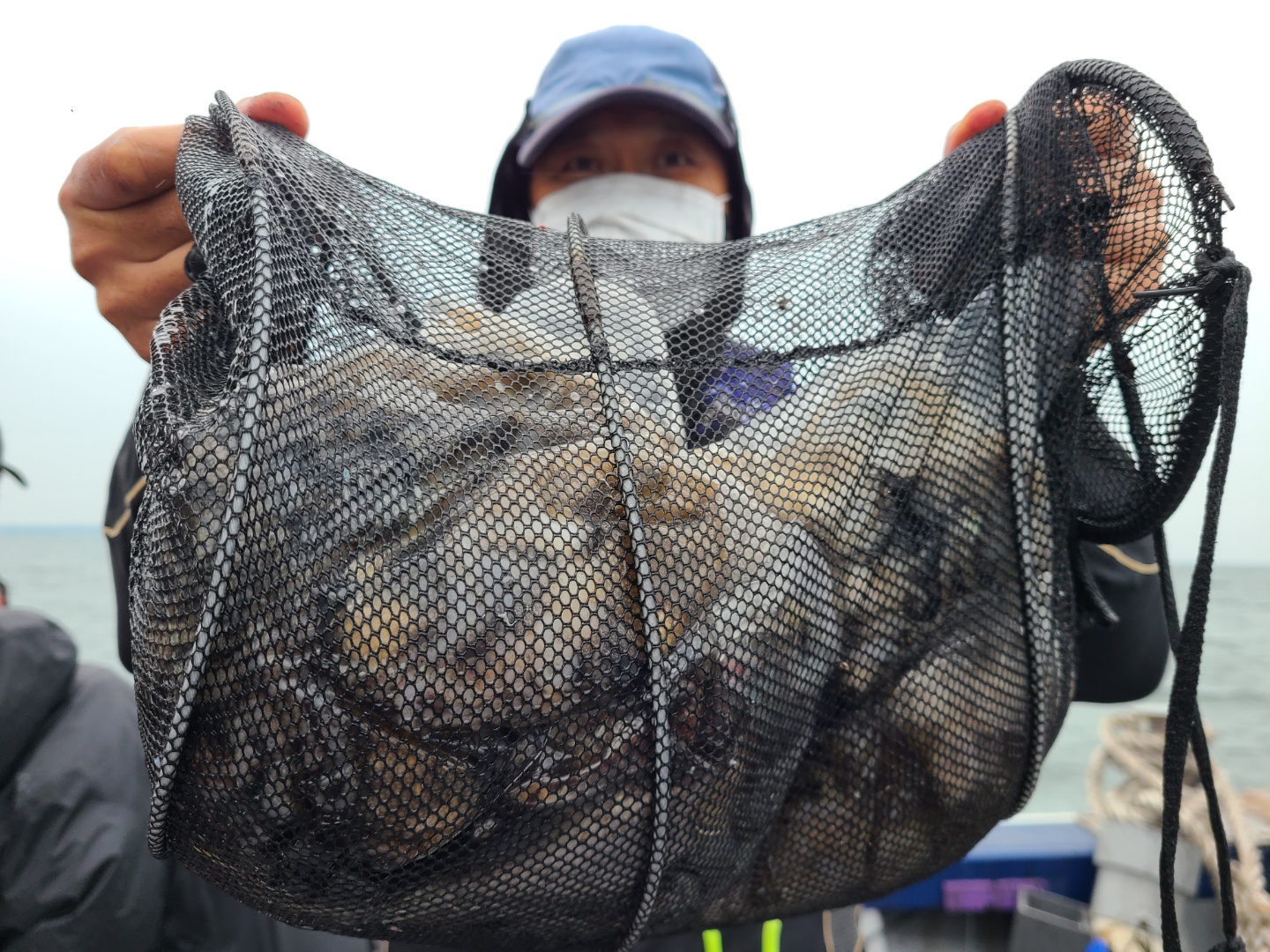 10월15일 뉴대성호 주꾸미조황