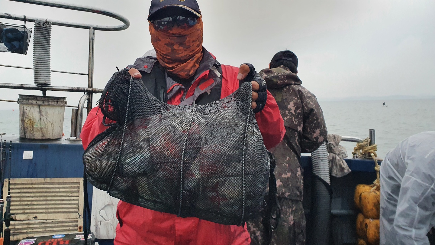 10월 15일 대성호 주꾸미조황입니다