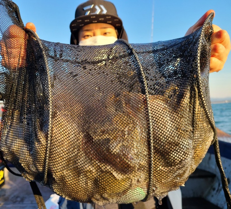 10월28일 뉴대성호 주꾸미조황